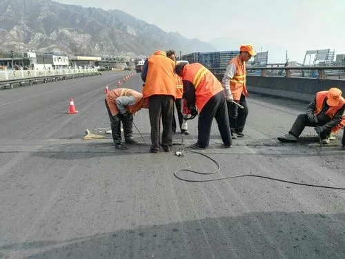 禹王台道路桥梁病害治理